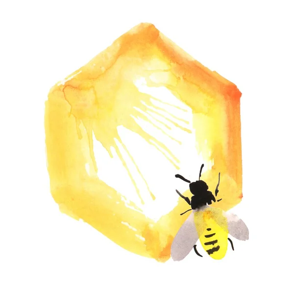 Watercolor Bee Orange Honeycomb Honey Spray Hand Drawing Isolated White — Stock Photo, Image