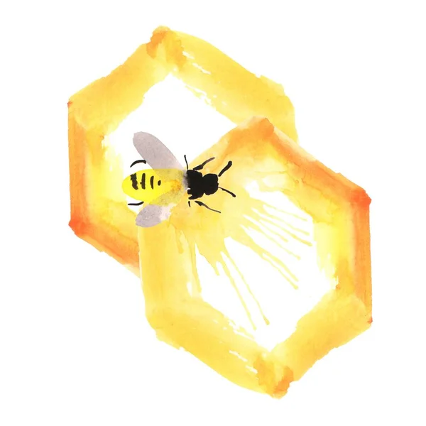 Pszczoła Akwarelowa Pomarańczowym Plastrze Miodu Sprayu Ręczny Rysunek Białym Tle — Zdjęcie stockowe