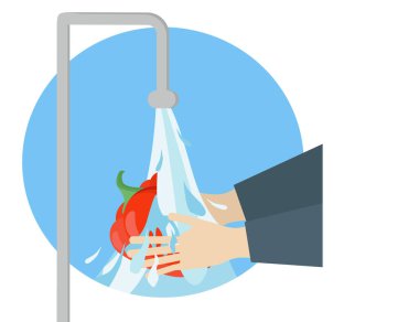 Meyve ve sebze yıka. Eller biberi musluğun altında tutar. Yemek yıkamak. Vektör çizimi düz tasarım. Kişisel hijyen. Dezenfeksiyon, antibakteriyel.