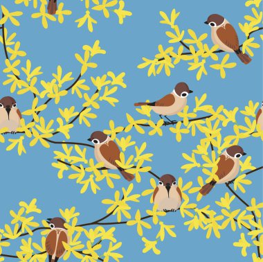 Bahar pürüzsüz desenli, serçe kuşları Forsythia dallarında sarı çiçekler açıyor. Mavi arkaplan üzerinde vektör düz illüstrasyon.