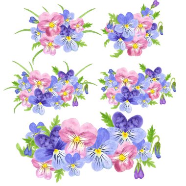 Bir demet çiçekli viyola çiçeği. Beyaz arkaplanda suluboya ile çiçek açan menekşeler izole edildi.