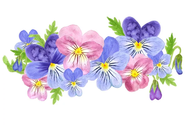 Delicate floral bouquet of viola flowers. Blooming violets in watercolor isolated on white background. Spring flower border.