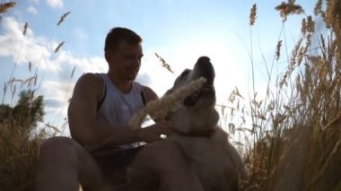 Çayır üzerinde oturan ve köpeğini okşuyordu bir adam. Labrador ya da altın geri almak koltuk erkek onun sahibi ile yeşil çimenlerin üzerinde. Güzel doğa güneş ışınları arka plan ile. Yavaş hareket kapatmak