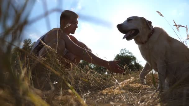 Labrador o recuperador de oro sentado sobre hierba verde y dando pata a su dueño. Entrenamiento de perros al aire libre. Rayos de sol al fondo. En cámara lenta. De cerca. — Vídeos de Stock