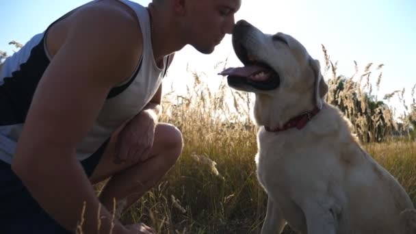 Joven caricia, abrazando y besando a su labrador al aire libre en la naturaleza. Jugando con Golden Retriever. Perro lamiendo cara masculina. Amor y amistad con los animales domésticos. Rayos de sol en el fondo. Movimiento lento — Vídeo de stock