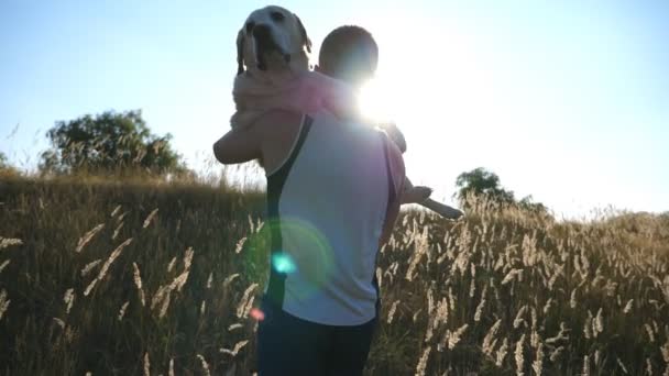 Молодий чоловік носить на руках свого собаку полем. Граючи з лабрадором або золотим ретривером на природі. Любов і дружба з домашньою твариною. Крупним планом Повільний рух — стокове відео