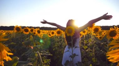 Genç kız ayçiçeği tarlasında duruyor ve ellerini kaldırıyor. Kadın çayırda manzara ve özgürlüğün tadını çıkarıyor. Arka plan Görünümü Yavaş çekim Kapat