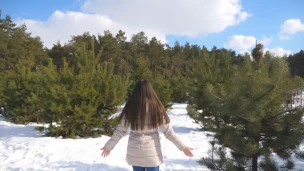 Fiatal lány áll a háttérben a havas erdőben, és emeli a karját. Nő élvezi téli táj és a szabadság. Hátulnézet közelről — Stock videók