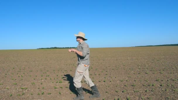 Šťastný muž farmář tance legrační mezi malé zelené výhonky na pole na slunečný den. Mladý muž se těší a baví na louce. Modrá obloha na pozadí. Detailní záběr Zpomalený pohyb — Stock video