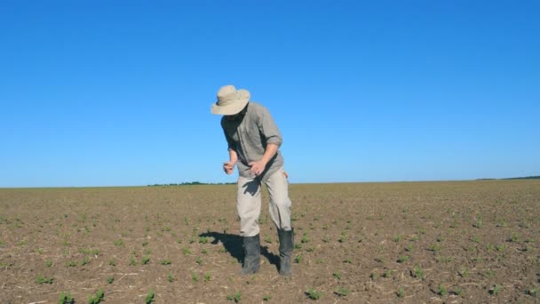 Gelukkig mannelijke boer dansen grappige onder kleine groene spruiten op het veld op zonnige dag. Jonge man genieten en plezier op de weide. Blauwe hemel bij achtergrond. Close-up van Slow motion — Stockvideo