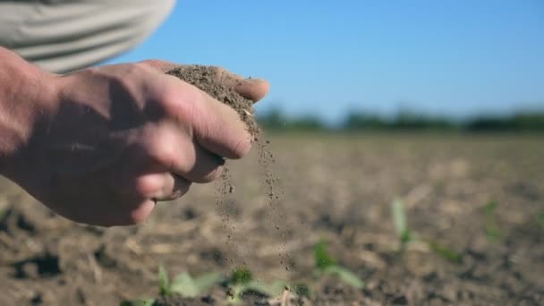 Κοντινό πλάνο της ανδρικής αγρότες χέρι κρατά μια χούφτα στεγνό έδαφος και ελέγχει τη γονιμότητα του εδάφους στο χωράφι σε ηλιόλουστη μέρα. Θολή Λιβάδι στο υπόβαθρο. Έννοια της γεωργίας. Πλάγια όψη αργή κίνηση — Αρχείο Βίντεο