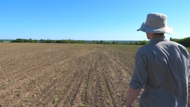 Následovat zklamaný člověk jde na louce a mluví o hrozbě neúroda kvůli suchu. Mladý muž farmář walking prostřednictvím malé zelené výhonky na hřišti. Zavřít pohled zezadu zpět nahoru — Stock video