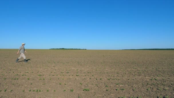 Perfil de un joven granjero caminando a través de las pequeñas plántulas verdes en su prado en el soleado día de verano. Concepto de negocio agrícola. Cielo azul al fondo. Vista lateral — Vídeo de stock