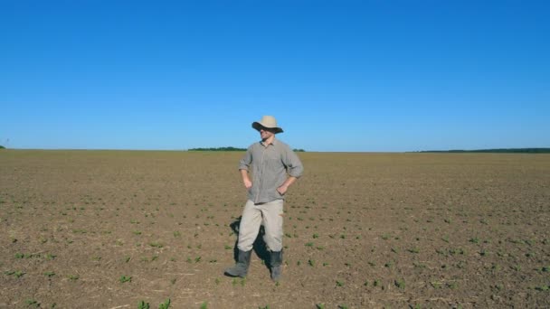 Happy male farmer dances funny among small green sprouts at the field on sunny day. Young man enjoying and having fun on meadow against the background of blue sky. Close up — Stock Video