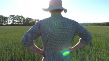 Erkek çiftçi tarlada duruyor ve buğday tarlasına bakıyor. Güneşli yaz gününde arpa otlağını izleyen genç adamın Dolly çekimi. Arka planda güneş ışığı. Tarım konsepti. Kapat.