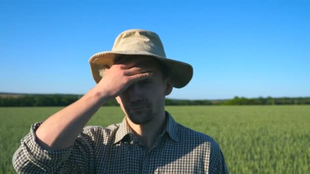 Kameraya bakarak ve başını tırmalamak karışık erkek çiftçi portresi. Şüpheli gencin çayırda güneşli günde ayakta kapatın. Yeşil buğday alan arka plan, mavi gökyüzü altında — Stok video