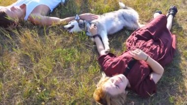 Dolly mutlu çifti üzerinde yeşil yalan sahasının çim ve Sibirya husky köpekleri güneşli gün okşamak. Rahatlatıcı ve gün batımında yaz hafta sonu zevk aşık genç bir çift. Üstten görünüm kapat