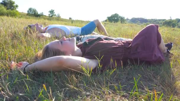 Guindaste tiro de jovem casal apaixonado deitado na grama verde no campo e acariciando seu cão husky siberiano no dia ensolarado. Feliz par relaxar e desfrutar de fim de semana de verão ao pôr do sol. Vista lateral Fechar — Vídeo de Stock