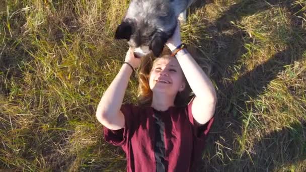 Vista superior de la joven con el pelo rubio tumbado en la hierba en el campo y acariciando a su perro husky. Hermosa mujer pasando tiempo junto con su mascota en la naturaleza. Amor y amistad con los animales domésticos — Vídeos de Stock