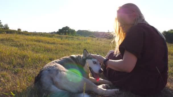 Dolly disparó a una hermosa chica sentada sobre hierba verde en el campo y acariciando a su perro husky siberiano al atardecer. Mujer joven con el pelo rubio pasar tiempo junto con su mascota en el prado. De cerca. — Vídeos de Stock