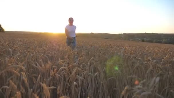 Giovane ragazza in occhiali da sole in esecuzione con il suo cane attraverso punte mature a prato. Carino husky siberiano tirando il guinzaglio durante il jogging sul campo di grano al tramonto. Luce solare sullo sfondo. Rallentatore — Video Stock