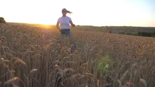 Nahaufnahme eines jungen sibirischen Huskys, der beim Joggen auf einem goldenen Weizenfeld bei Sonnenuntergang an der Leine zieht. Glückliches Mädchen mit Sonnenbrille, das mit ihrem Hund durch hohe, reife Stacheln auf der Wiese läuft. Zeitlupe — Stockvideo