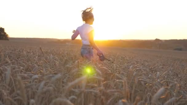 Młoda dziewczyna gospodarstwa pszenicy łodygi w rękę i jogging z jej Syberyjski Plewiasty na smyczy przez złoty łąka. Szczęśliwa kobieta ucieka z psa na polu zbóż na zachód słońca. Światło słoneczne w tle. Zwolnionym tempie — Wideo stockowe