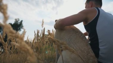 Tanınmayan adam çayır çim üzerinde oturur ve onun labrador yaz anda vuruş. Genç adam onun evde beslenen hayvan hayvan, doğa ile birlikte vakit geçiriyor. Dinlenme zevk köpek olan genç adam. Ağır çekim yakın çekim