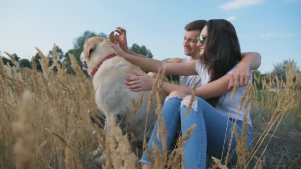 Young Couple Sitting Grass Meadow Stroking His Labrador Family Spends — Stock Video