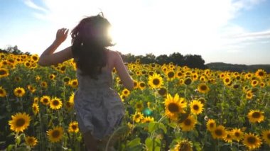 Arka plan, güneş parlama ile sarı ayçiçeği sahada koşan tanınmaz kız. Genç kadın güzel çiçek çayır koşu için izleyin. Özgürlük kavramı. Ağır çekim
