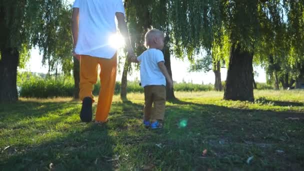 年轻的父亲和小儿子牵手, 在夏天的绿色公园里散步。快乐的家庭花时间在大自然中。背景的阳光。慢动作关闭后视图 — 图库视频影像