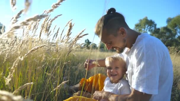 Genç Baba elinde tutan spikelet ve çayır çocukla oynuyor. Çimlere oturup ve having fun güneşli günde mutlu bir aile. Neşeli baba ve oğlu alan birlikte vakit. Ağır çekim — Stok video