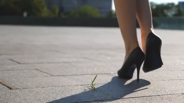 Yüksek topuklu ayakkabılı kadın bacakları şehir caddesinde yürüyor. Şehirdeki yüksek topuklu ayakkabılı genç iş kadınının ayakları. İşe giden bir kız. Yavaş çekim. Yakın çekim. — Stok video