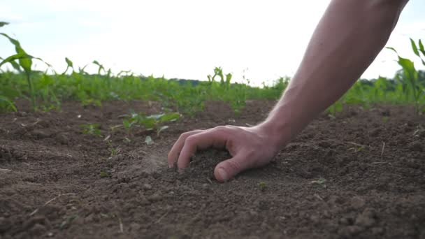 Mužské Farmář Ruce Drží Hrst Půdy Nalil Zpět Skrze Prsty — Stock video
