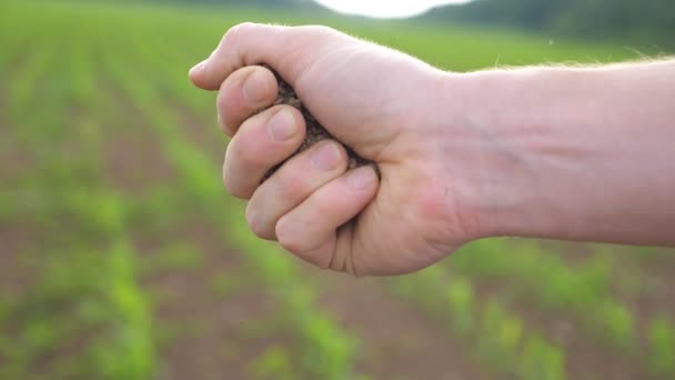 Close up de mão agricultores do sexo masculino mantém um punhado de terra seca no campo no dia ensolarado. Prado desfocado no fundo. Conceito de agricultura. Vista lateral — Vídeo de Stock