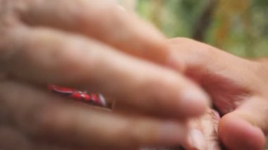 Rahatlatıcı ve açık diğer her okşayarak genç erkek ve kırışmış eller. Torun ve Büyükanne dışarıda birlikte vakit. Bakım ve sevgi kavramı. Yan görünümü ağır çekim kapatın