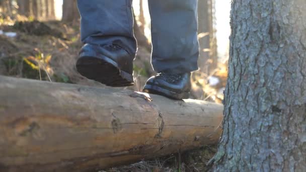 Primer plano de los pies masculinos caminando sobre el tronco de madera que yace en un bosque de pinos. Joven irreconocible pasando tiempo en la naturaleza durante el viaje. Concepto de vacaciones o vacaciones. Bajo ángulo de visión. Movimiento lento — Vídeos de Stock