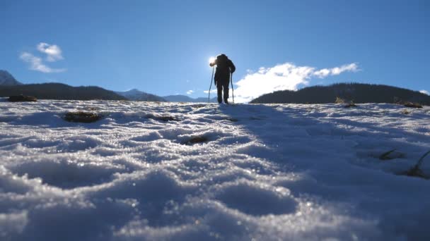Vista trasera trasera del joven excursionista que camina nórdico con palos en el campo cubierto de nieve. Tipo irreconocible trekking en el prado de nieve y escalada en la colina en invierno. Concepto de estilo de vida activo saludable. Movimiento lento — Vídeo de stock