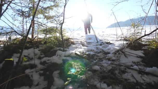 Vista trasera trasera de un hombre irreconocible corriendo en un campo cubierto de nieve cerca del bosque. Joven excursionista corriendo en el prado de nieve en el día soleado. Luz solar al fondo. Concepto de viaje o viaje. Movimiento lento — Vídeo de stock