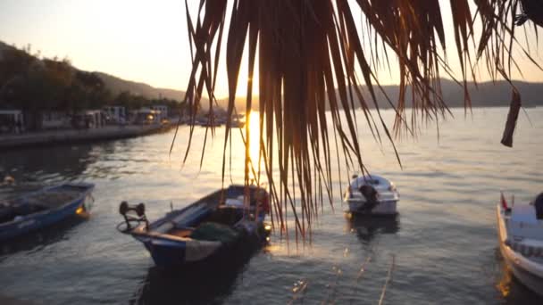 Scène pittoresque de bateaux de pêche se tenant près du rivage au coucher du soleil. Soleil qui brille à travers les feuilles de palmier. Fond naturel. Beau paysage. Mouvement lent — Video