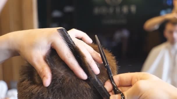 Чоловічі руки перукаря розчісують і ріжуть волосся клієнта щіткою для волосся і ножицями в салоні. Герб перукаря обрізає волосся свого клієнта в перукарні. Відображення чоловіків розмивається у дзеркалі — стокове відео