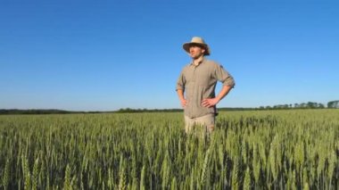 Genç erkek çiftçi buğday yeşil plantasyon içinde ayakta ve güneşli yaz gününde bir tahıl hasat hakkında konuşuyor. Tarıma dayalı işletme kavramı. Güzel doğa manzara. Düşük açılı Görünümü Kapat