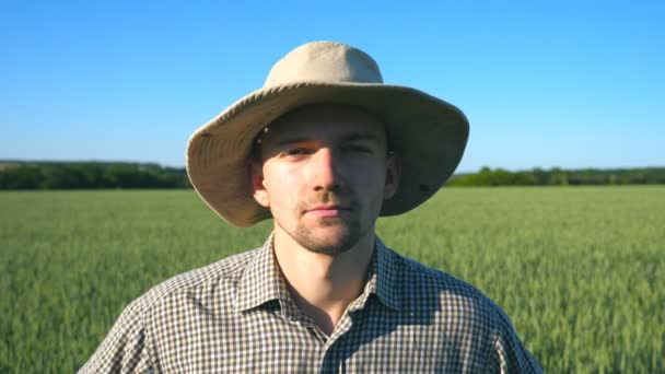 Retrato de agricultor confiante em chapéu olhando para a câmera contra o fundo do campo de trigo verde. Close up de jovem de camisa de pé no prado no dia ensolarado de verão — Vídeo de Stock