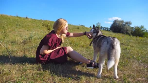 Çayır, yeşil çimenlerin üzerinde oturan ve onu evde beslenen hayvan ile oynayan sarı saçlı mutlu kız profil. Siberian dış yapraklar köpeğini doğa, birlikte vakit kadın sahibi. Yan Görünümü Kapat — Stok video