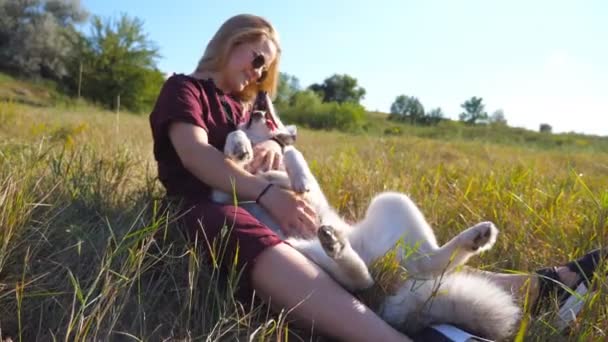 Junges Mädchen mit blonden Haaren sitzt auf dem Rasen am Feld und streichelt ihren sibirischen Husky. Schöne Frau mit Sonnenbrille lächelt und küsst ihr Haustier auf der Wiese. glücklicher Hund leckt weibliches Gesicht. Nahaufnahme — Stockvideo