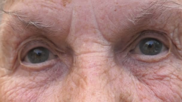 Porträt der Großmutter, die mit einem traurigen Anblick in die Kamera blickt. Nahaufnahme der grauen Augen einer älteren Frau mit Falten um sie herum. Trauer Gesichtsausdruck der Seniorin — Stockvideo