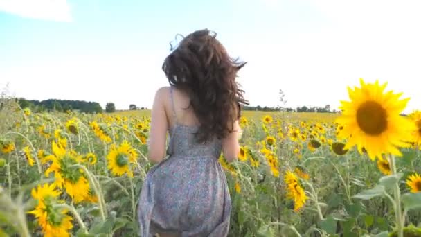 Oigenkännlig vackra flicka kör på gul solros fält. Glad ung kvinna jogging genom ängen under sommardag. Frihet fritid koncept. Slow motion — Stockvideo