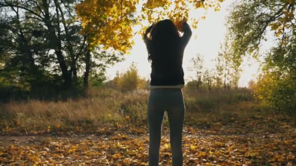 Jeune femme méconnaissable sautant dans le parc automnal et jetant des feuilles d'érable jaune. Feuillage de couleur tombant. Fille lever la main et profiter du moment. Beau paysage naturel. Mouvement lent — Video