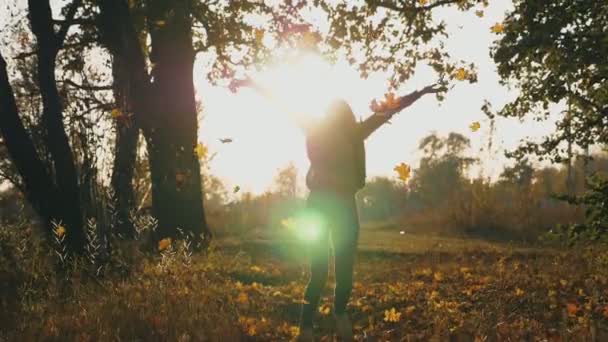 Mulher atraente levantando as mãos e gostando de cair folhas de outono. Menina feliz mostrando emoções alegres com o pôr do sol no fundo. Folhagem de cor caindo. Lento movimento Fechar — Vídeo de Stock