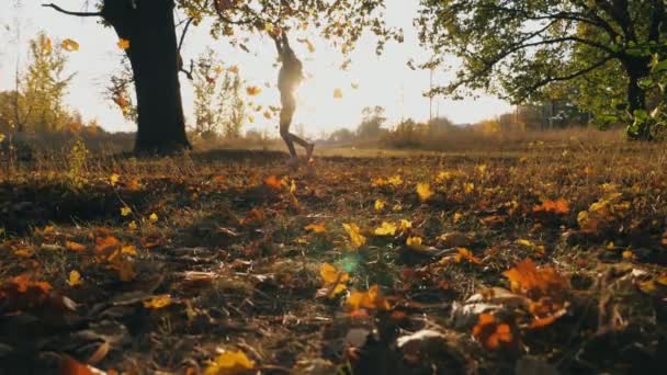 Jeune femme levant les mains et appréciant tomber feuilles d'automne. Fille heureuse montrant des émotions joyeuses avec coucher de soleil en arrière-plan. Dame bénéficiant d'un bel environnement d'automne. Mouvement lent 